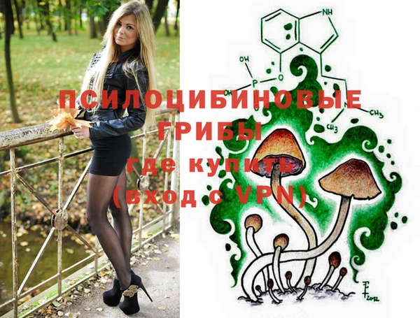 мдма Пролетарск