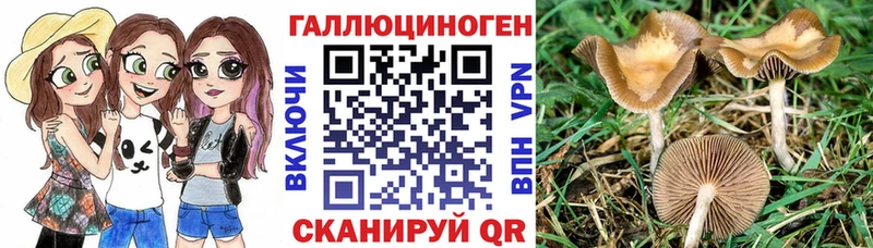 Галлюциногенные грибы Magic Shrooms  Лермонтов 